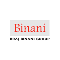 binani-group-main-logo